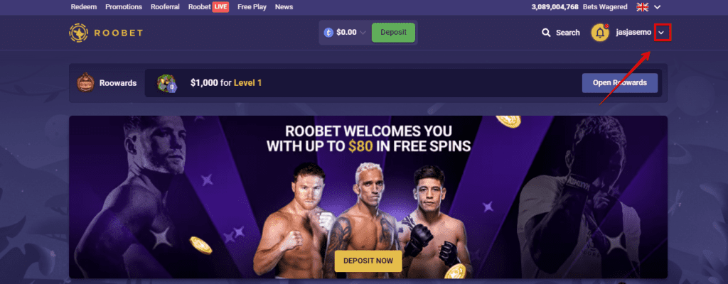 How to Play Roobet in the US in 2025?
