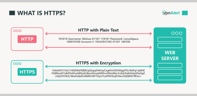 VPN vs. HTTPS: What's the Difference? (2024)