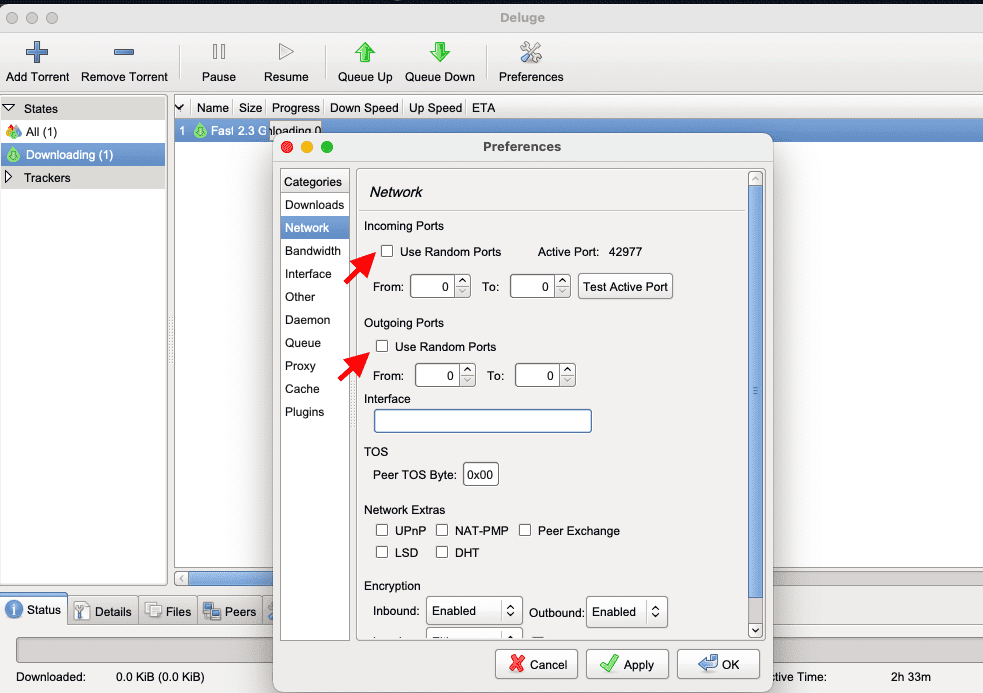 How to Use Private Access With Deluge in 2024?